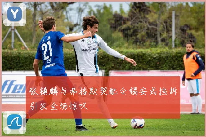 张镇麟与弗格默契配合锡安式挡拆引发全场惊叹
